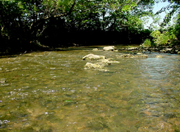 muddy creek